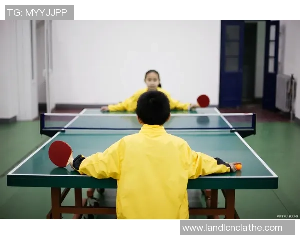 乒乓球新手必读从零起步掌握力量技巧与训练全攻略 乒乓球新手必读从零起步掌握力量技巧与训练全攻略