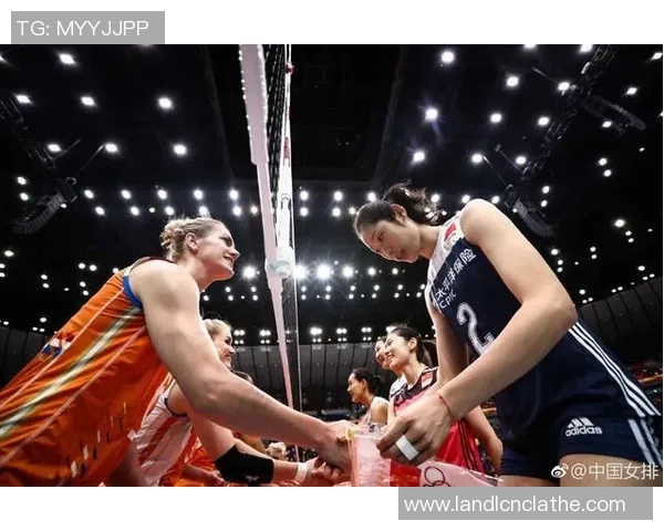 武汉排球队比赛经验引发热议球迷观点各异争论不断